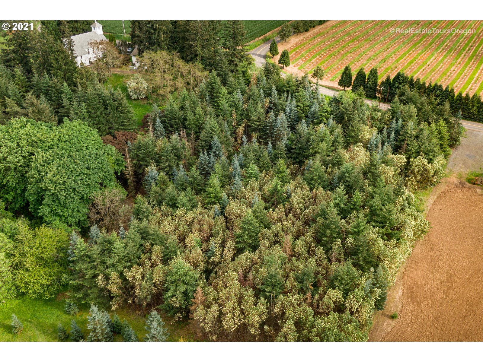 0 Southwest Wunderli Canyon Road Sherwood, OR 97140 - Photo 9 of 10 Gallery Image 9