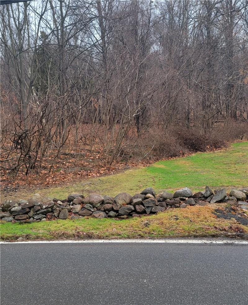a view of a yard with a fireplace