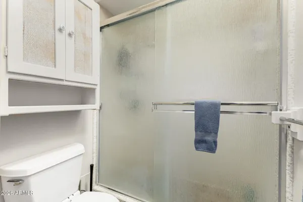 a bathroom with a toilet and a shower