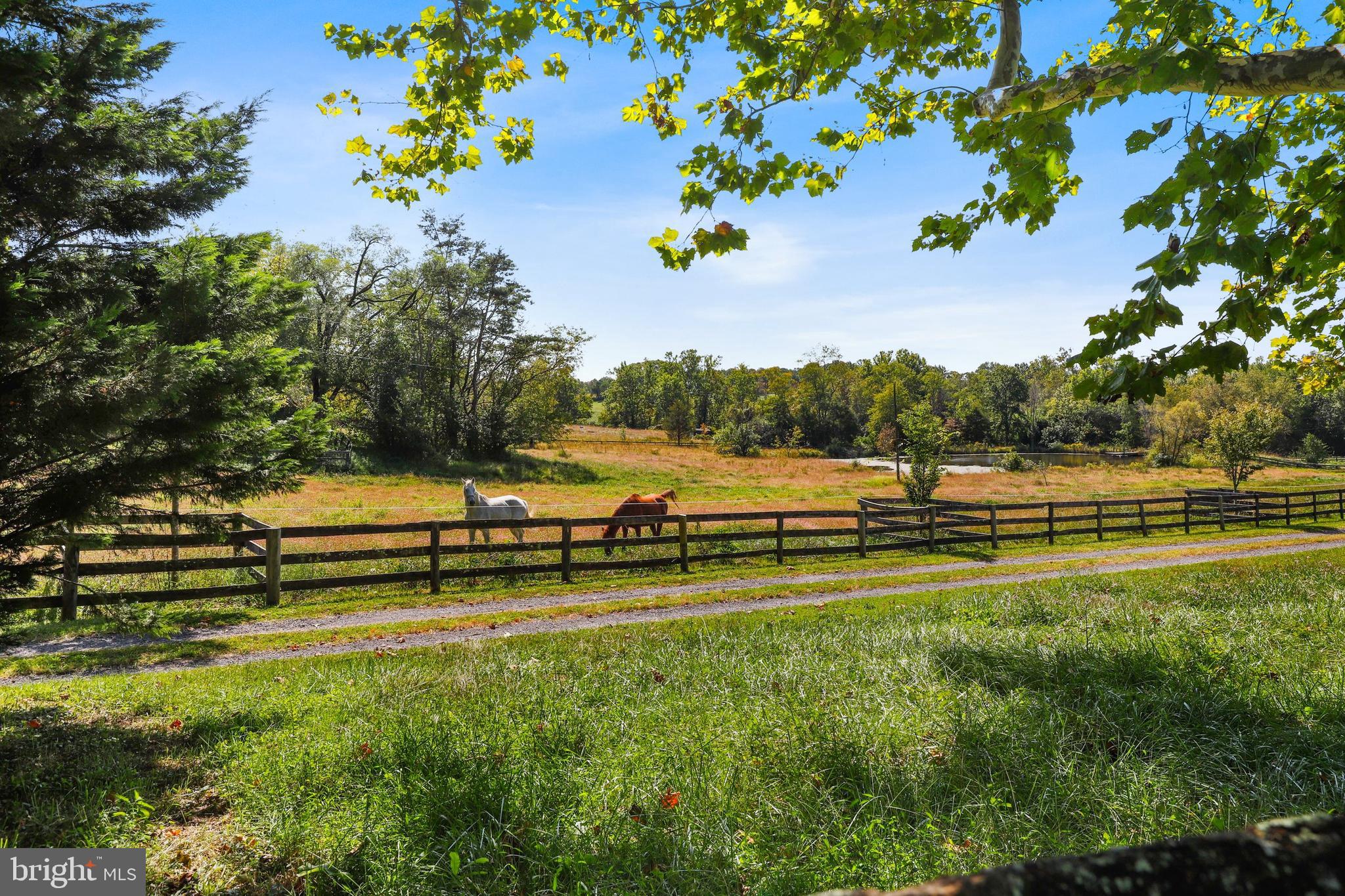 6884 Leeds Manor Road Marshall, VA 20115 - Photo 4 of 56 Gallery Image 4