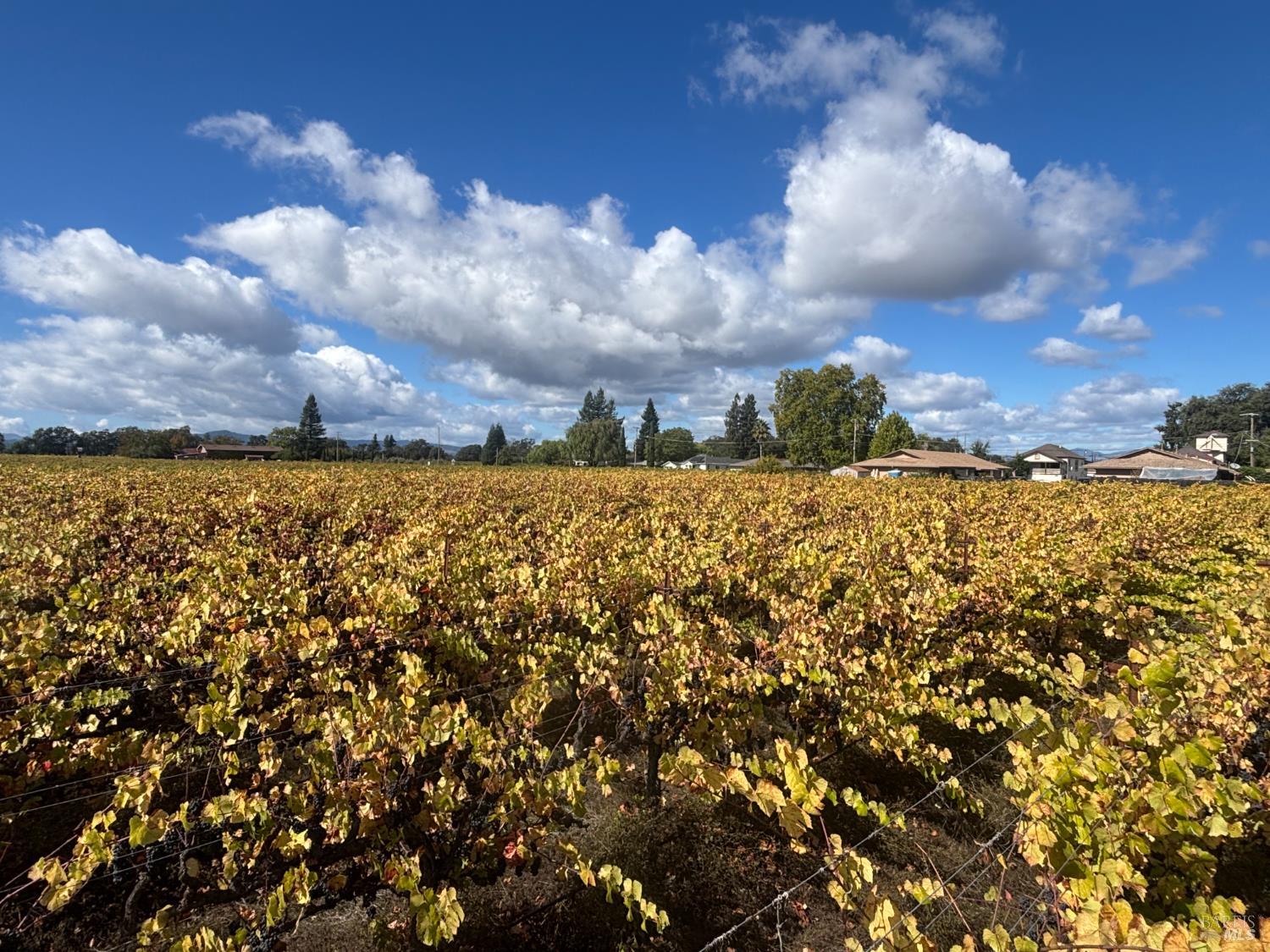 1100 Hart Lane Fulton, CA 95439 - Photo 12 of 30 a view of a large building with lots of trees
