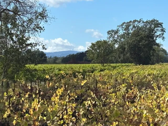 a view of lake with houses