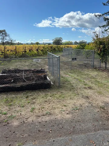 a view of a dry yard with wooden fence