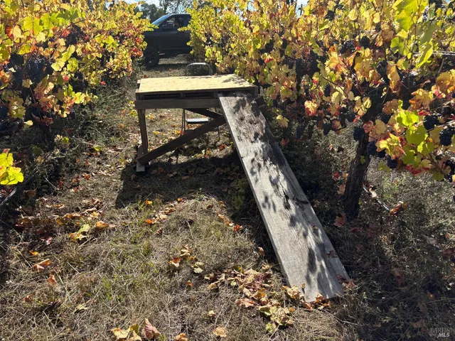 a bench sitting in the middle of a tree