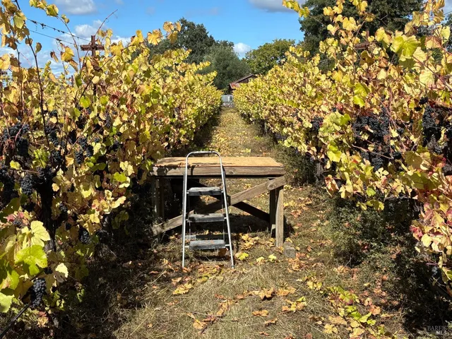a view of a yard with outside area