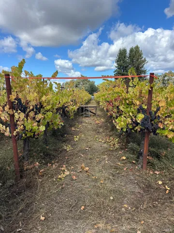a view of swimming pool