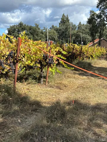 a view of a lake with houses