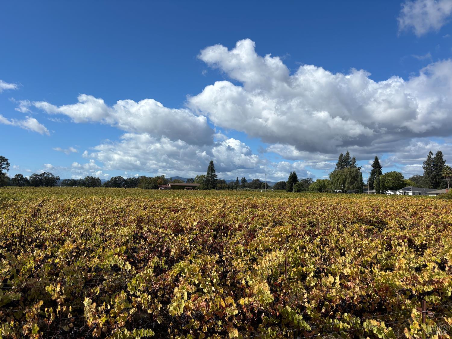 1100 Hart Lane Fulton, CA 95439 - Photo 4 of 30 a view of a sky