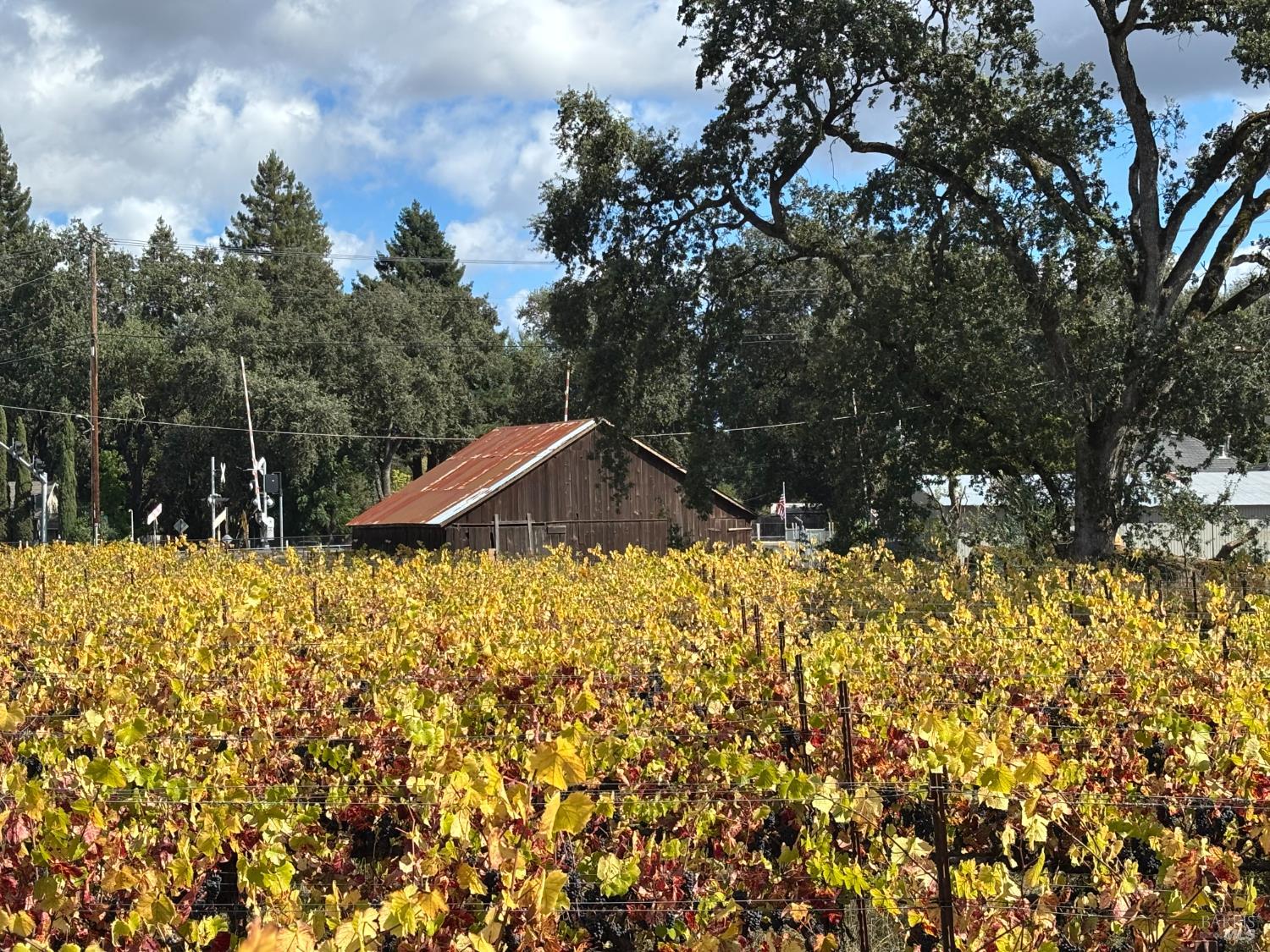 1100 Hart Lane Fulton, CA 95439 - Photo 5 of 30 a backyard of a house with lots of green space