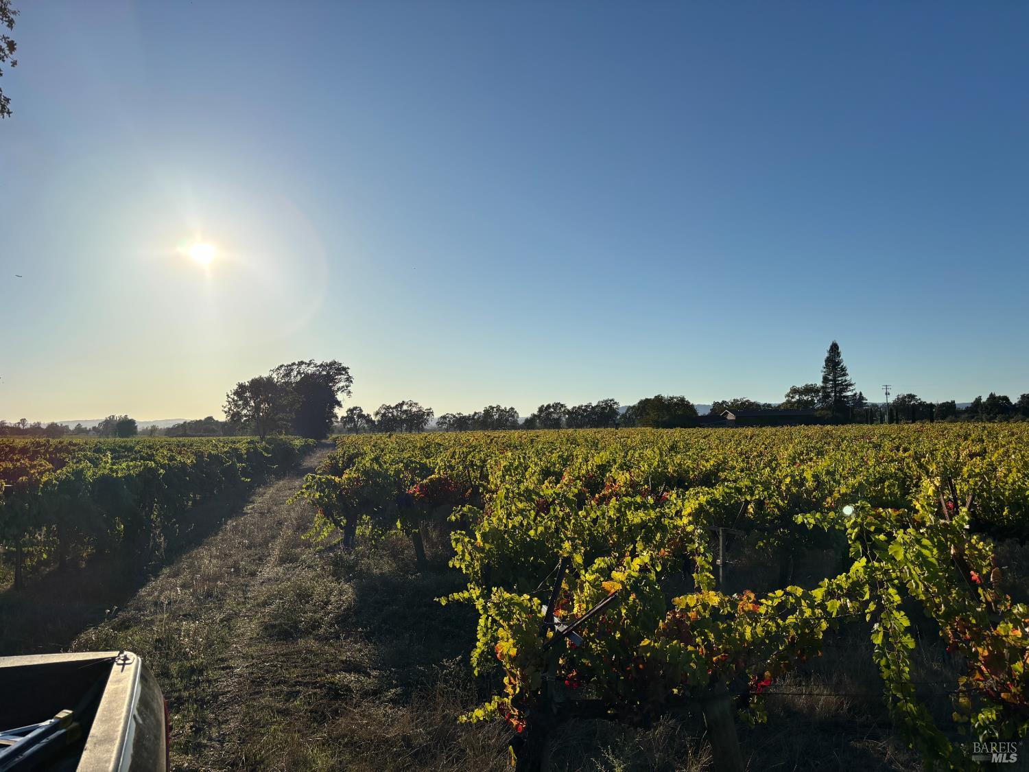 1100 Hart Lane Fulton, CA 95439 - Photo 9 of 30 a view of a lake