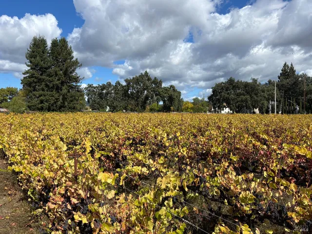 a view of a lake with houses