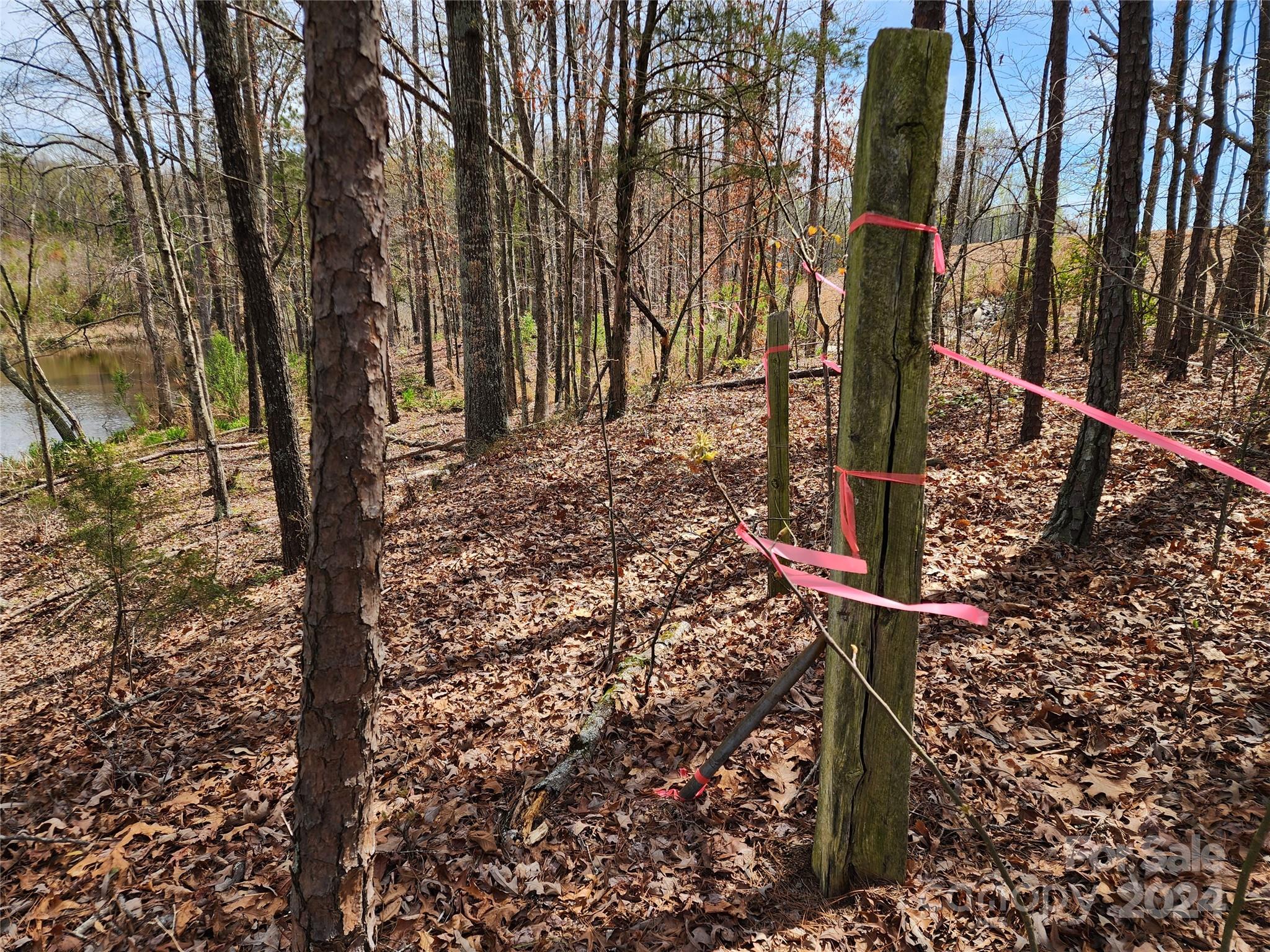 Tbd Tbd Witherspoon Trail Lancaster, SC 29720 - Photo 20 of 38