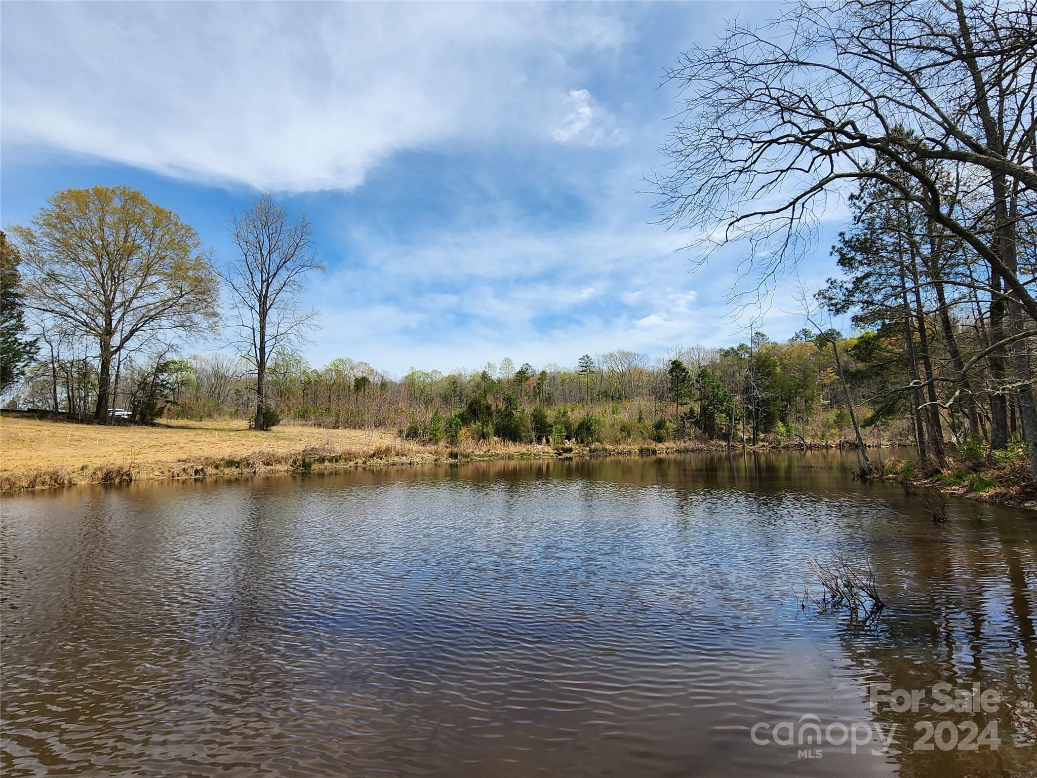 Tbd Tbd Witherspoon Trail Lancaster, SC 29720 - Photo 4 of 38