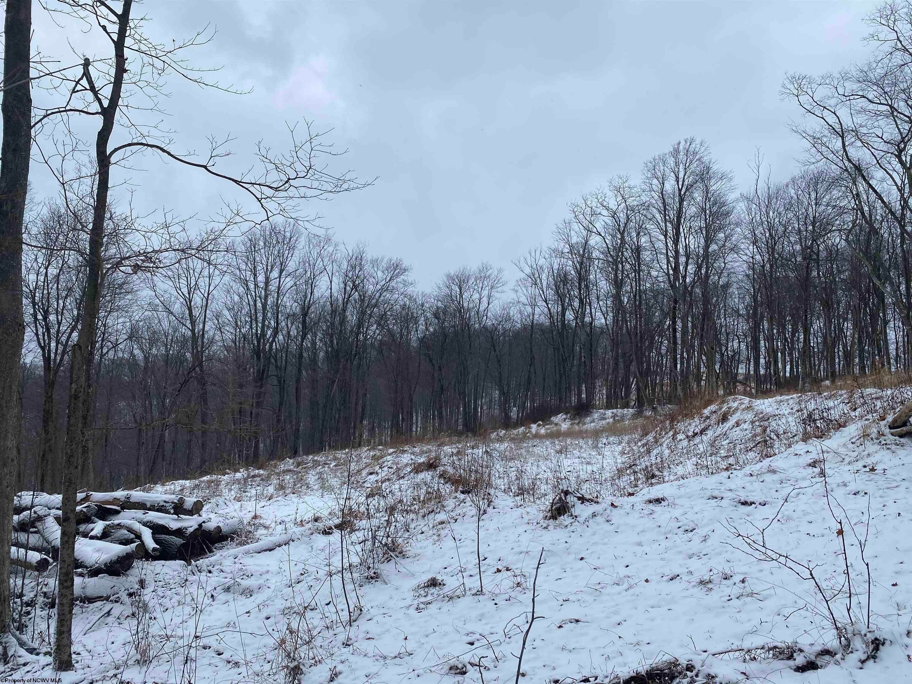 Tbd Stemple Ridge Road Aurora, WV 26705 - Photo 10 of 15 Gallery Image 10