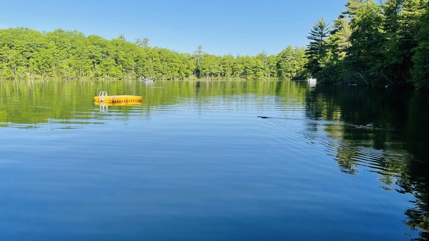 52 Basken Shores Road North Waterboro, ME 04061 - Photo 54 of 54 IMG_6122
