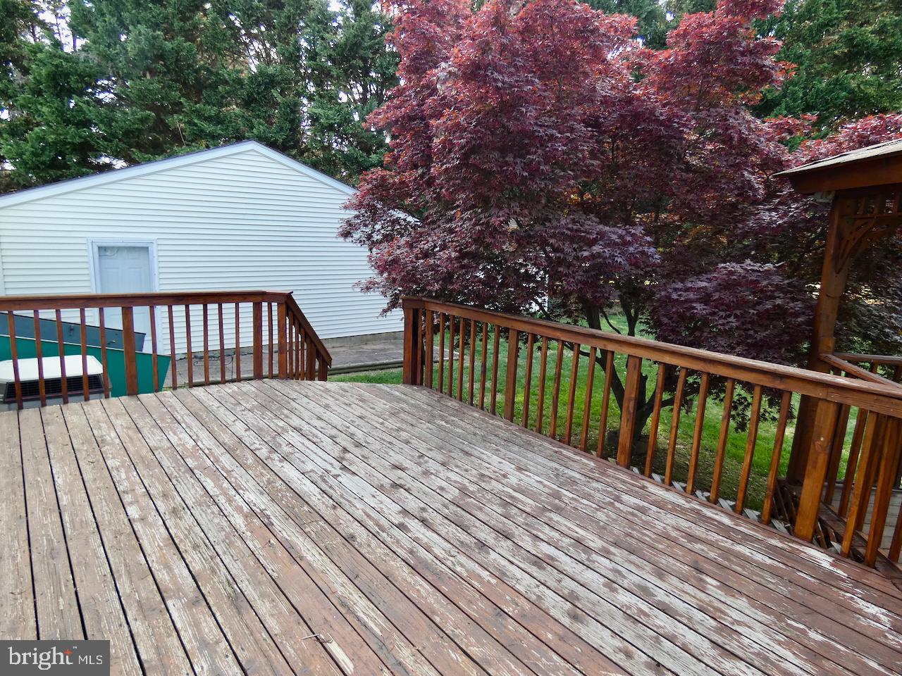 260 Clarks Corner Road New Castle, DE 19720 - Photo 58 of 85 Serene deck with vibrant foliage.
