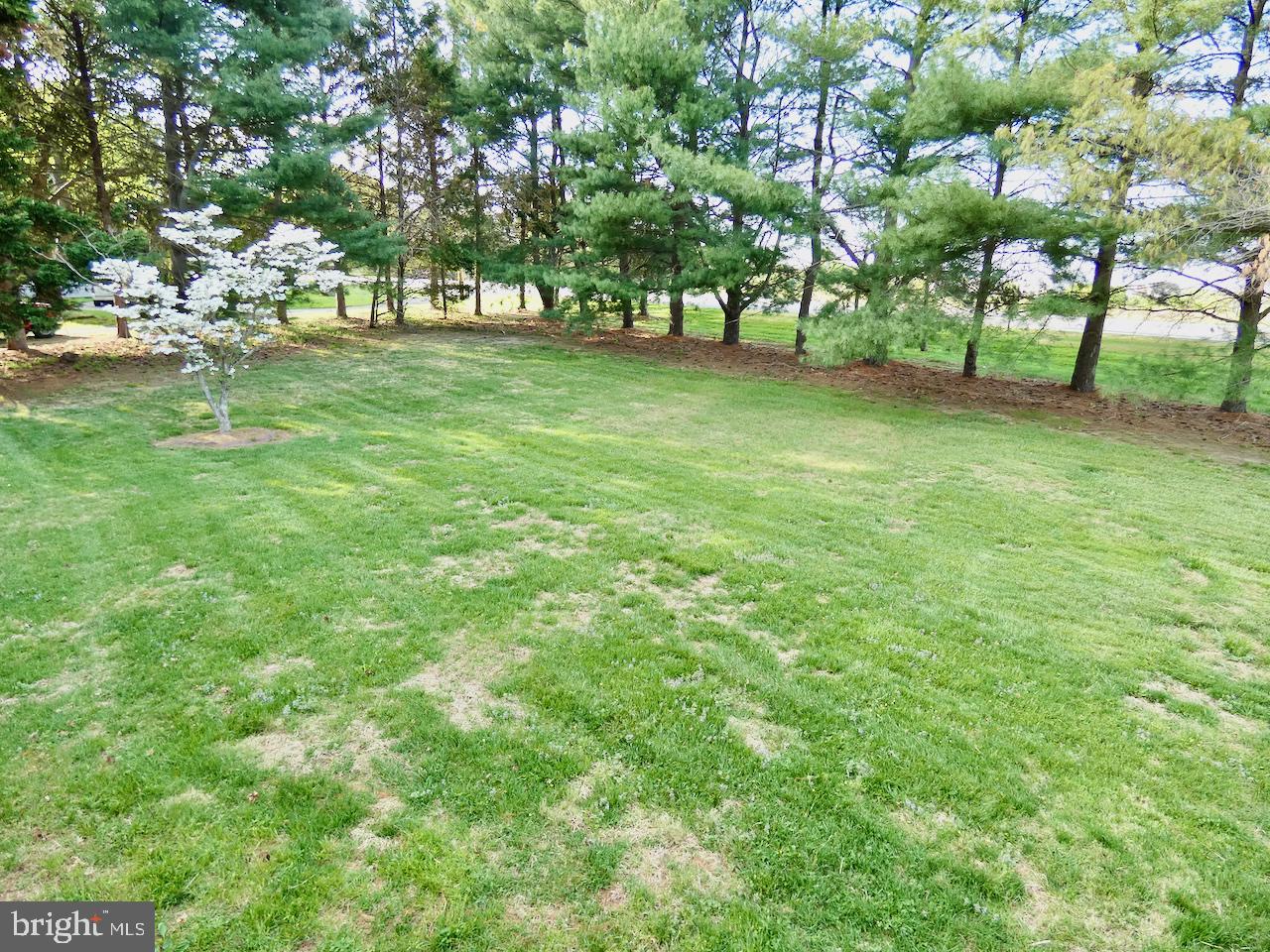 260 Clarks Corner Road New Castle, DE 19720 - Photo 64 of 85 Lush green lawn with serene trees.