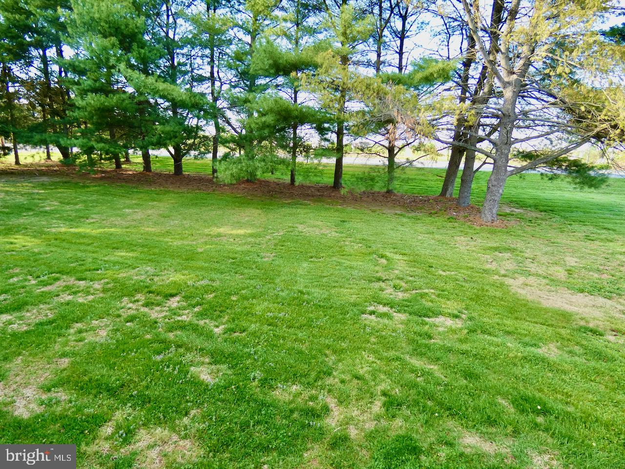 260 Clarks Corner Road New Castle, DE 19720 - Photo 65 of 85 Lush green retreat with serene trees.