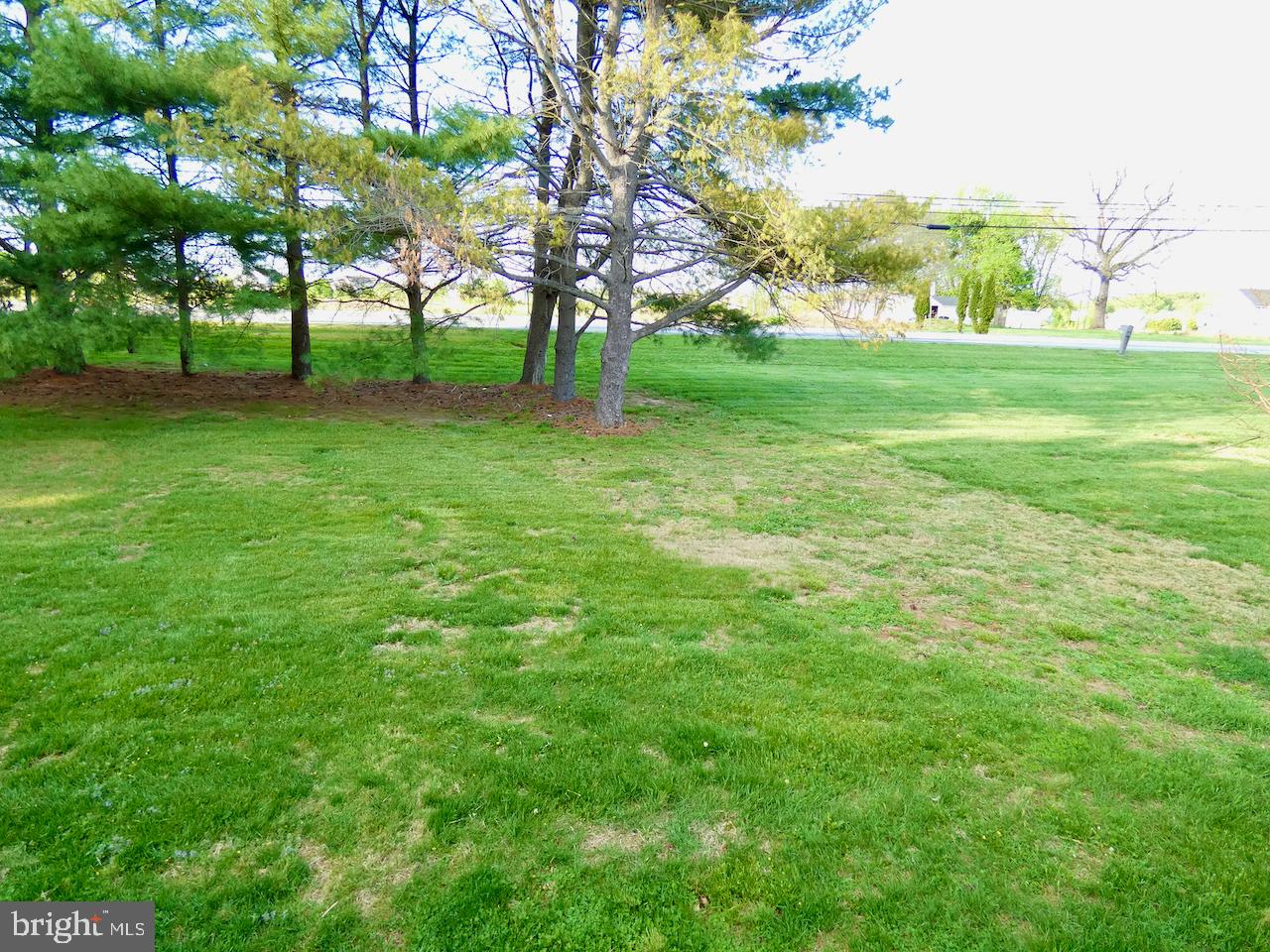 260 Clarks Corner Road New Castle, DE 19720 - Photo 66 of 85 Lush green oasis with serene trees.