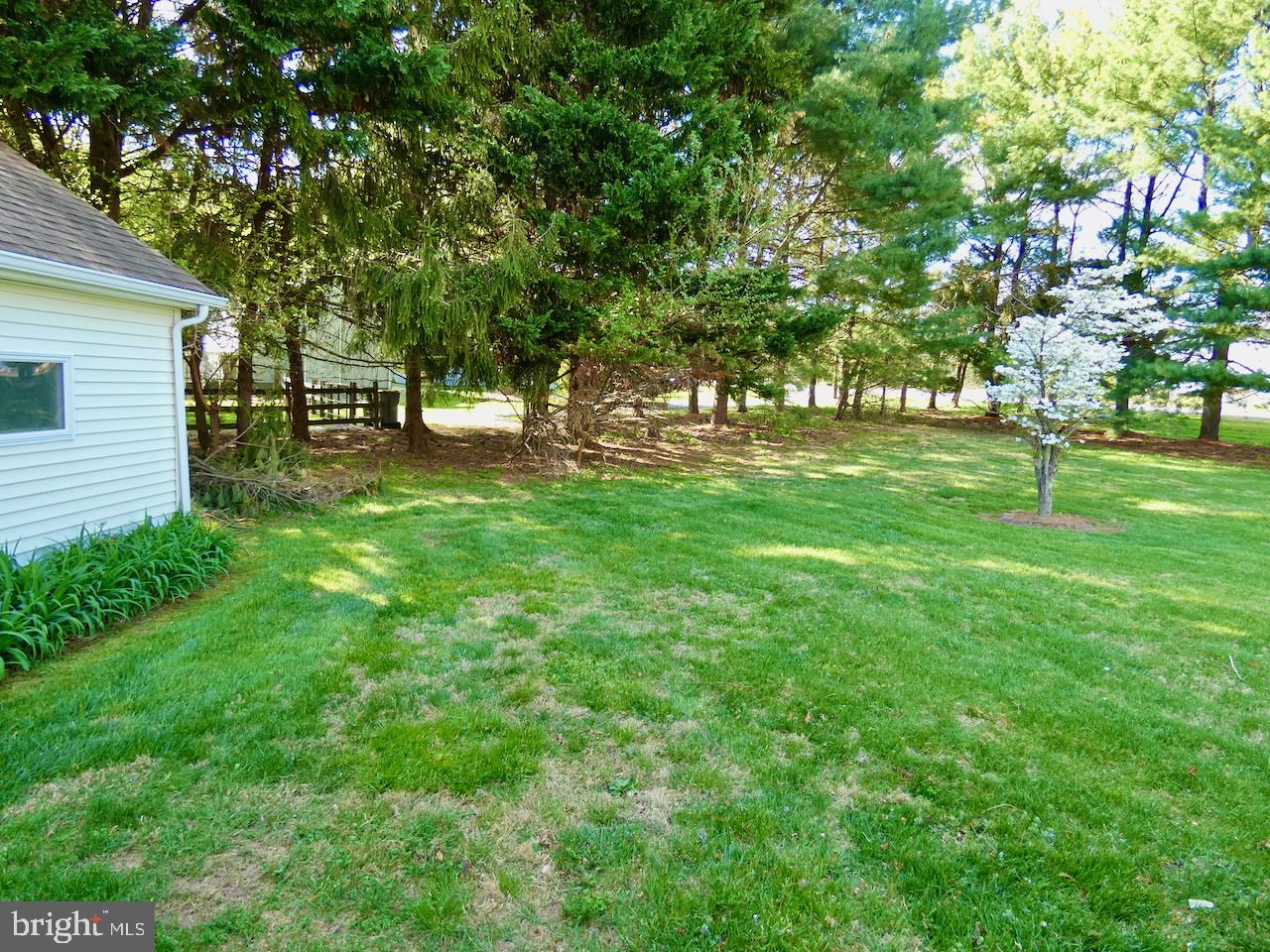260 Clarks Corner Road New Castle, DE 19720 - Photo 68 of 85 Lush green yard embraced by trees.