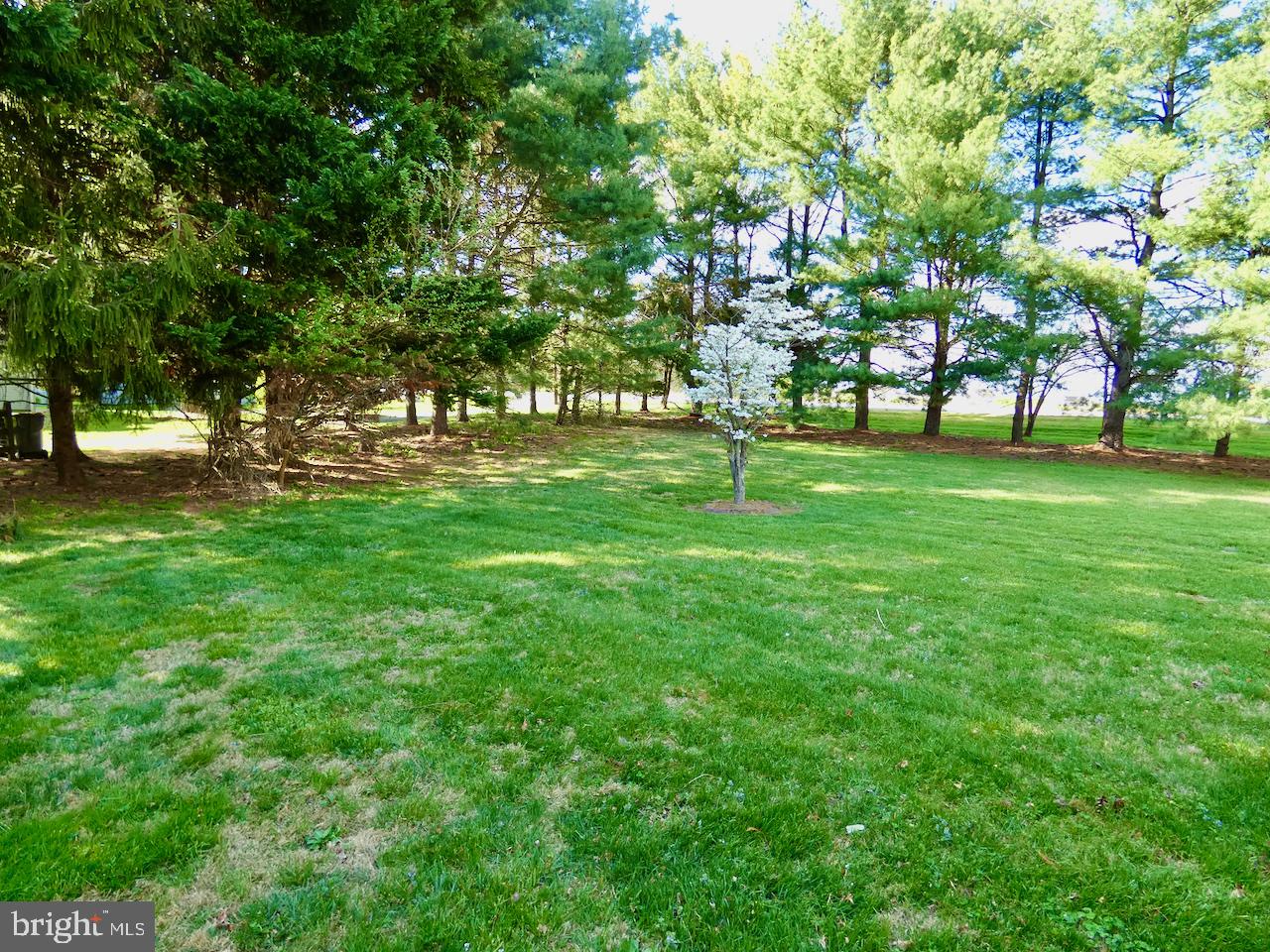 260 Clarks Corner Road New Castle, DE 19720 - Photo 69 of 85 Serene green space with blooming tree.
