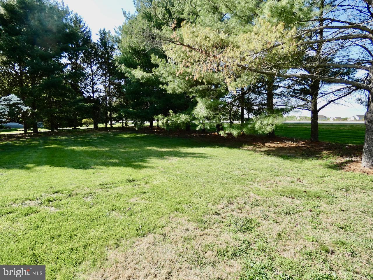 260 Clarks Corner Road New Castle, DE 19720 - Photo 81 of 85 Serene green space under tall pines.