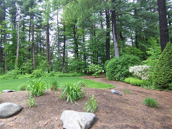 62 Prynne Ridge Road Longmeadow, MA 01106 - Photo 28 of 30 a view of a garden with plants