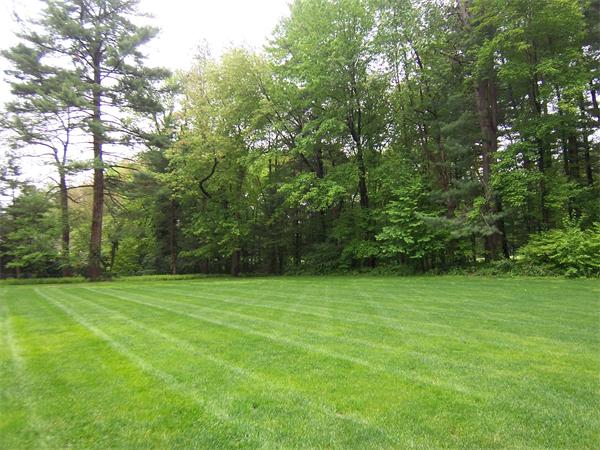 62 Prynne Ridge Road Longmeadow, MA 01106 - Photo 29 of 30 a view of a field with a trees in the background