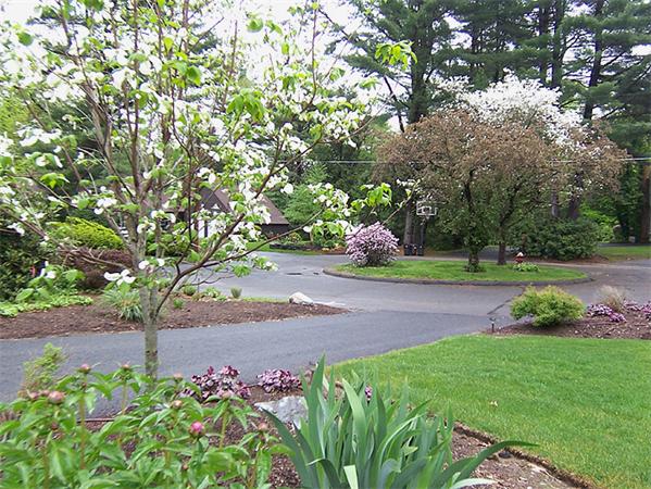 62 Prynne Ridge Road Longmeadow, MA 01106 - Photo 30 of 30 a view of a garden with plants and trees