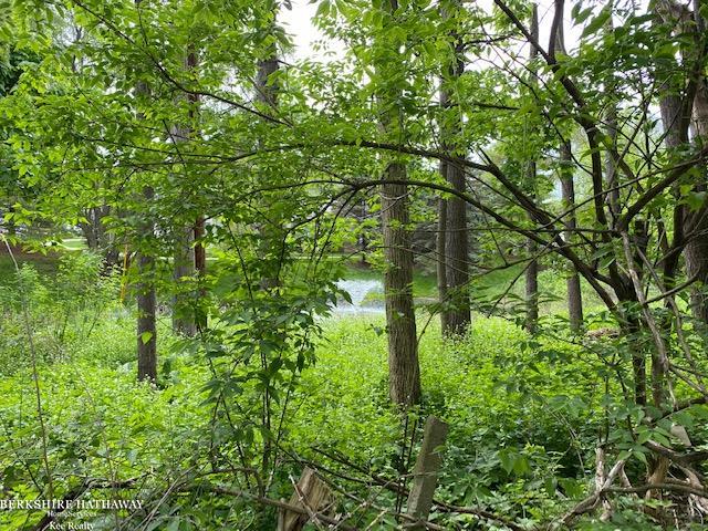 754 Miller Avenue Rochester, MI 48307 - Photo 24 of 24