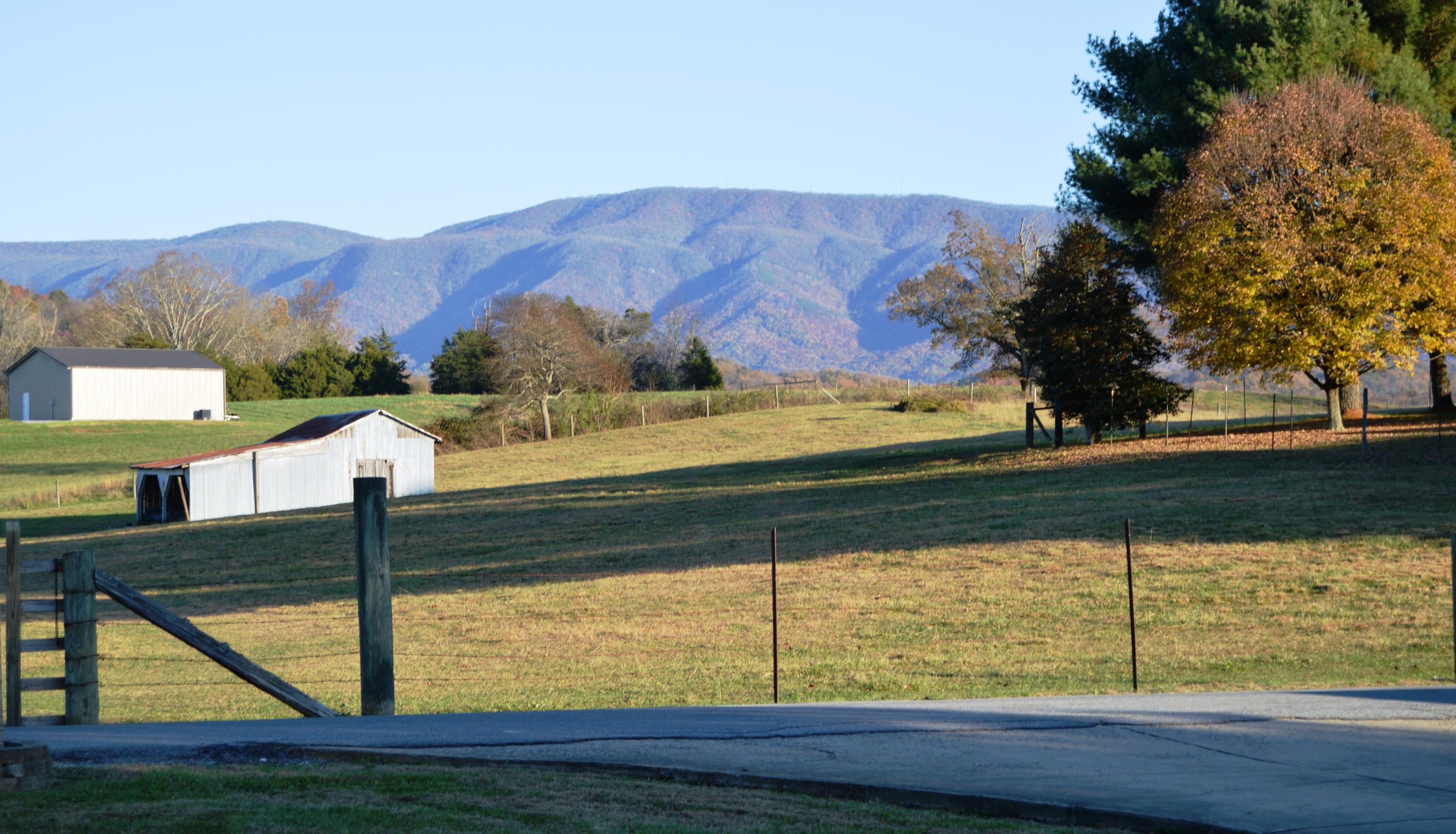 356 Andy Cole Road Bluff City, TN 37618 - Photo 20 of 21 DSC_1221