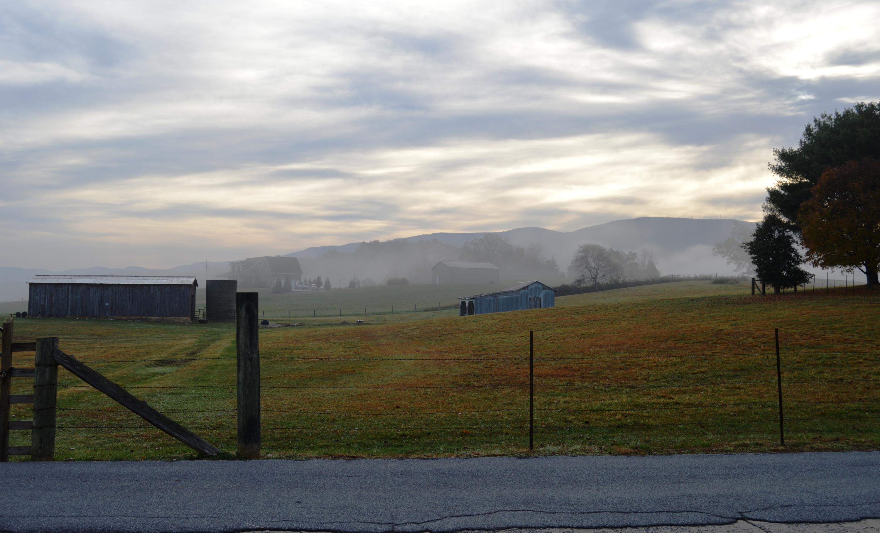 356 Andy Cole Road Bluff City, TN 37618 - Photo 21 of 21 DSC_1238