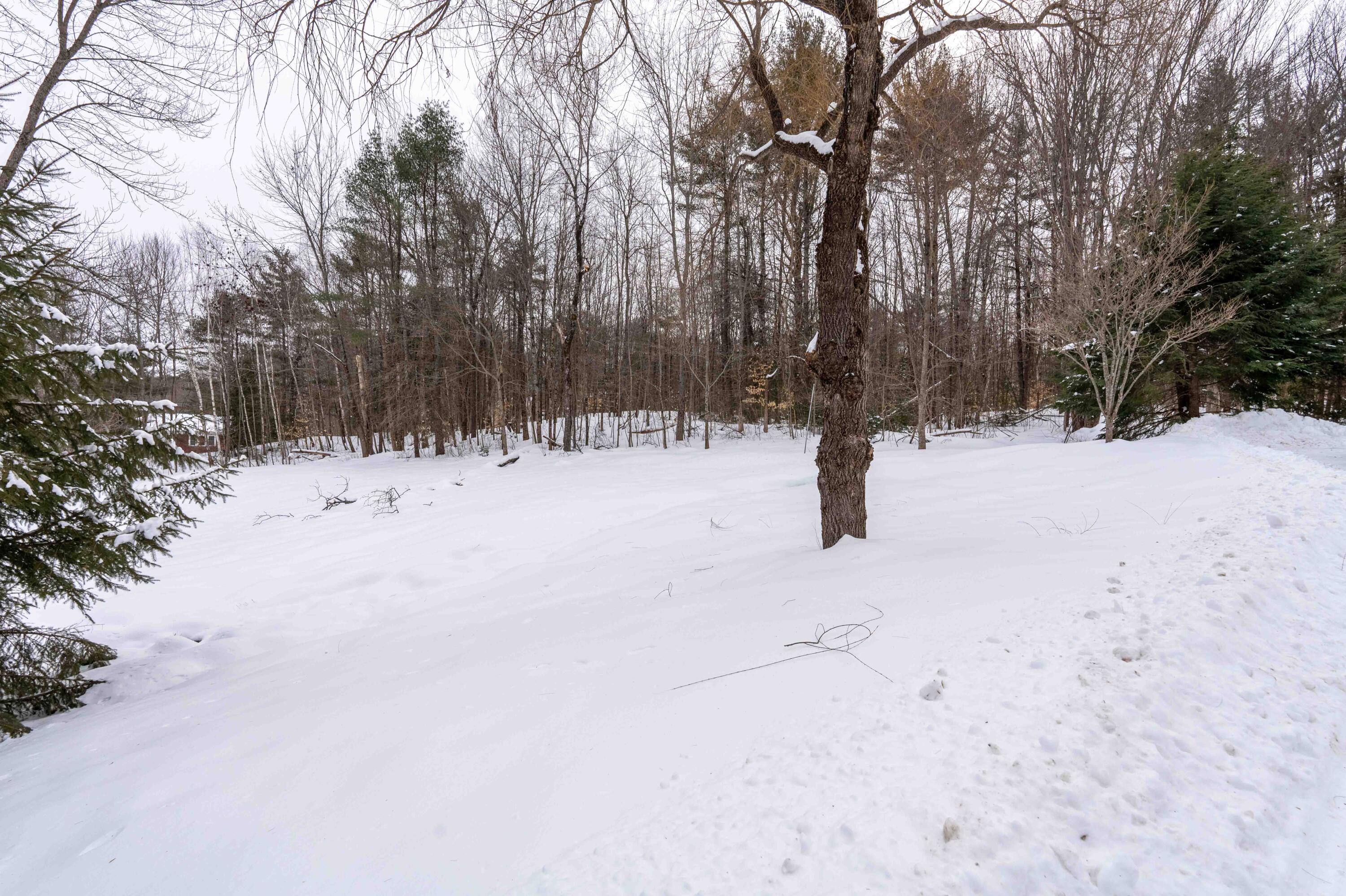 11 Megquier Hill Road Poland, ME 04274 - Photo 39 of 41 Side Yard