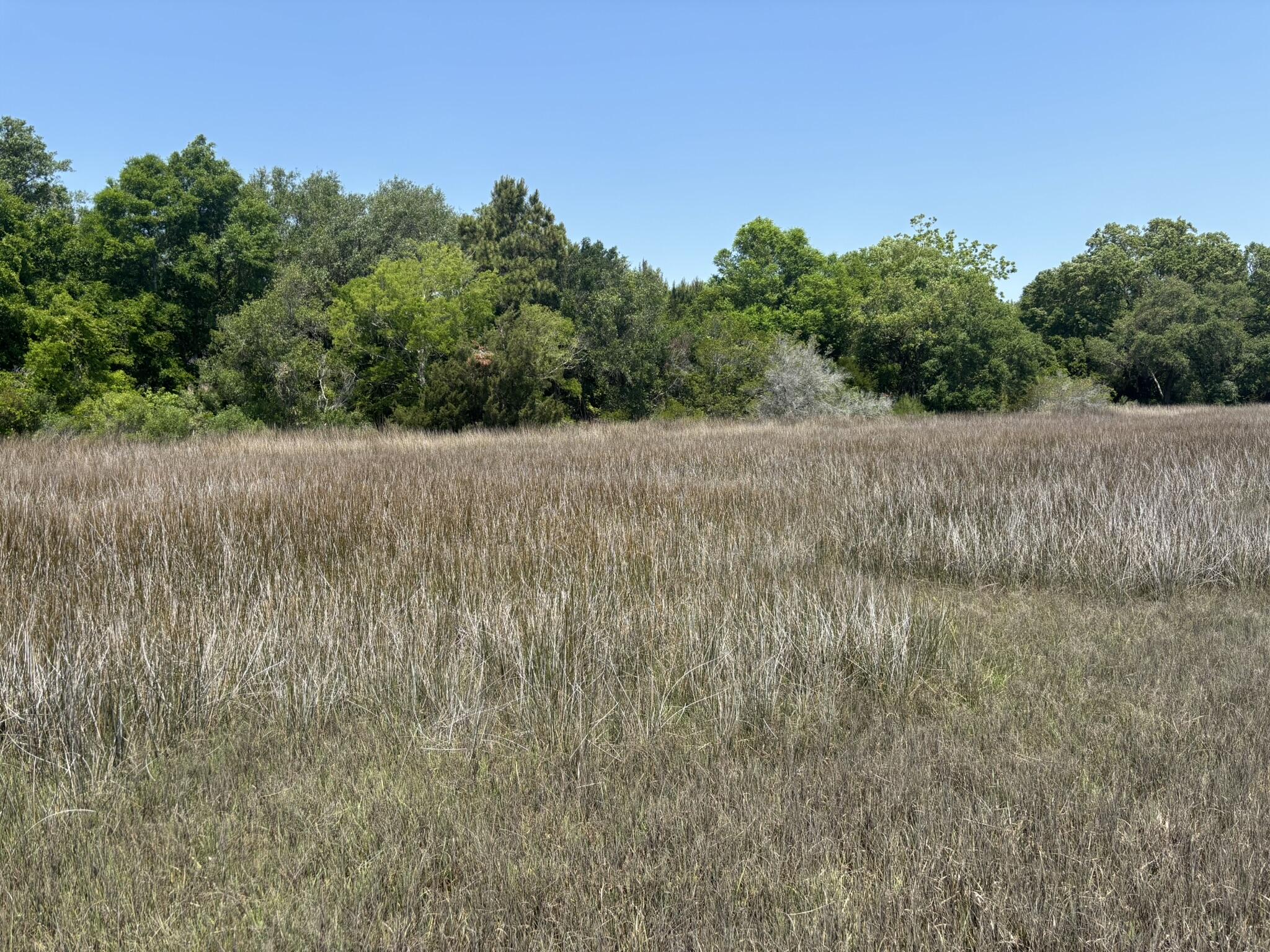 2035 Sol Legare Road Charleston, SC 29412 - Photo 9 of 26 IMG_2295
