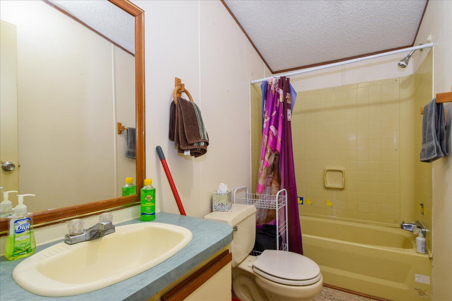 6423 Meacham Road Salem, VA 24153 - Photo 12 of 29 a bathroom with a sink toilet and shower