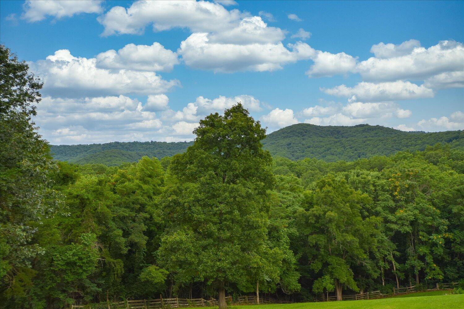 6423 Meacham Road Salem, VA 24153 - Photo 25 of 29 a view of a bunch of trees