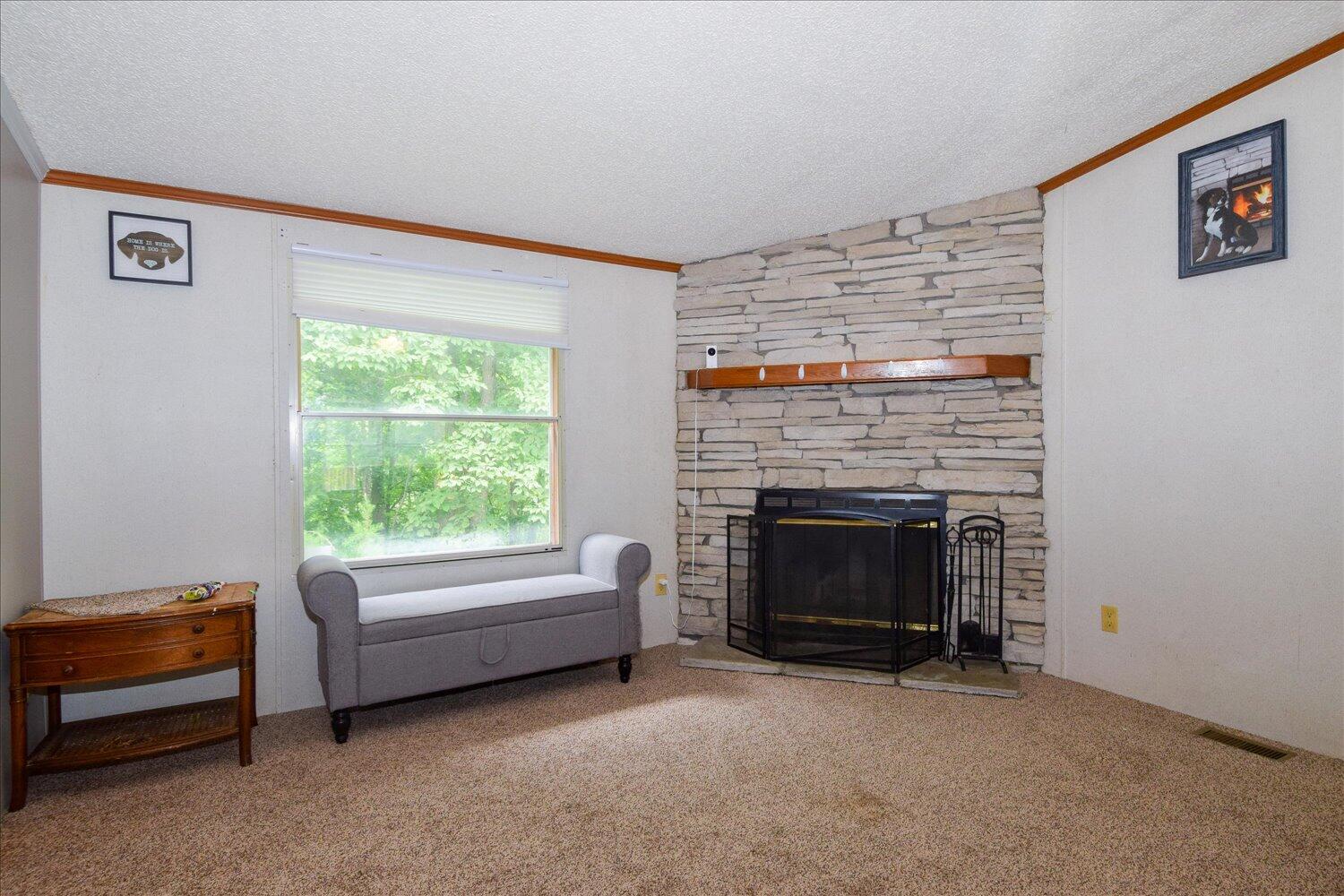 6423 Meacham Road Salem, VA 24153 - Photo 4 of 29 a living room with furniture and a fireplace