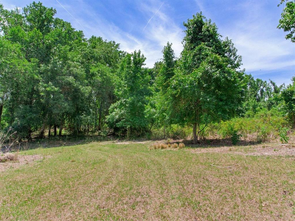 Spring Lake Highway Brooksville, FL 34602 - Photo 21 of 49 a view of outdoor space with trees all around