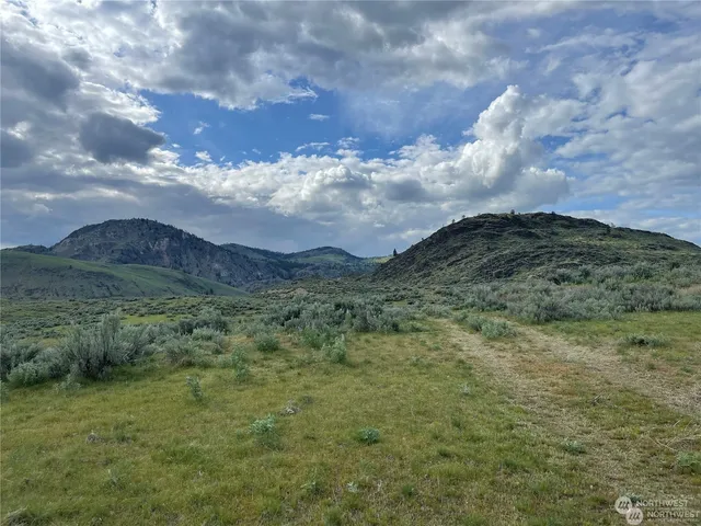 a view of a bunch of trees in middle of green field
