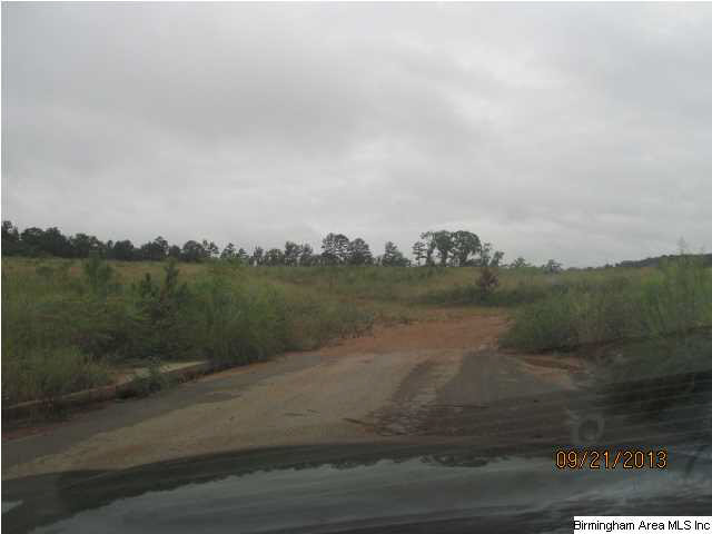 0 Lock 4 Road, Unit 3 PARCEL Lincoln, AL 35096 - Photo 3 of 10