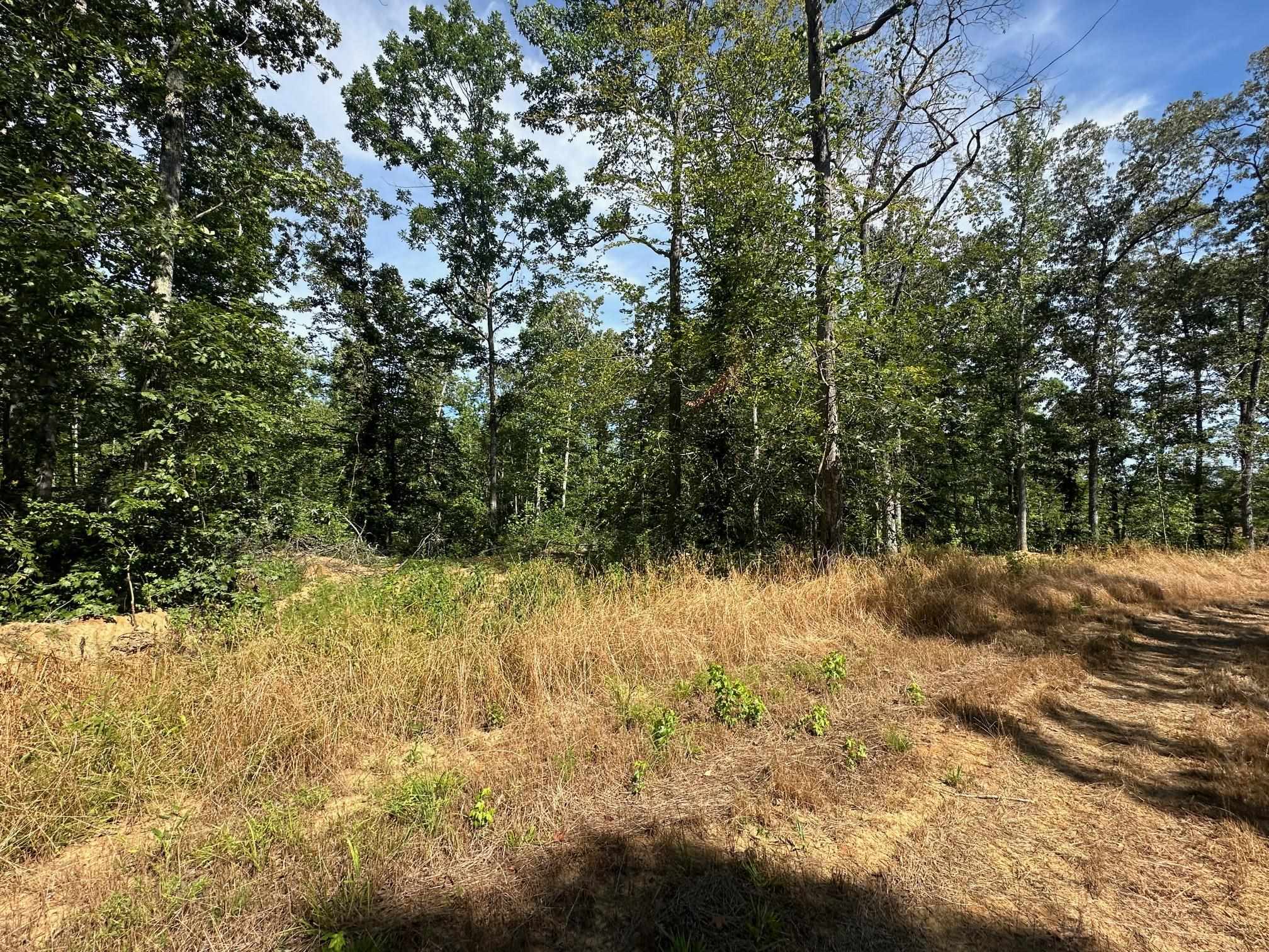 15 Bruton Road Savannah, TN 38372 - Photo 11 of 16 View of nature