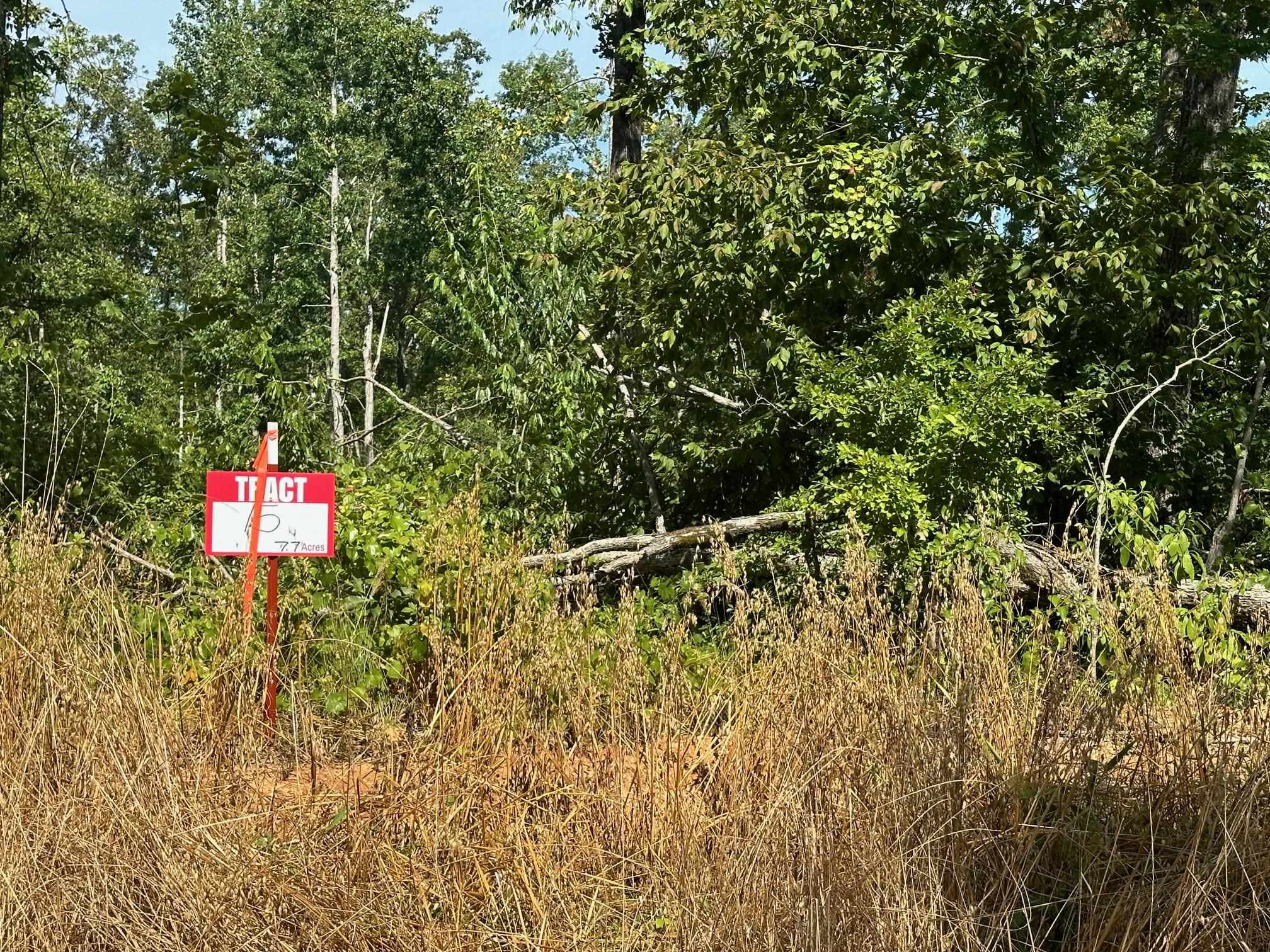 15 Bruton Road Savannah, TN 38372 - Photo 12 of 16 View of local wilderness