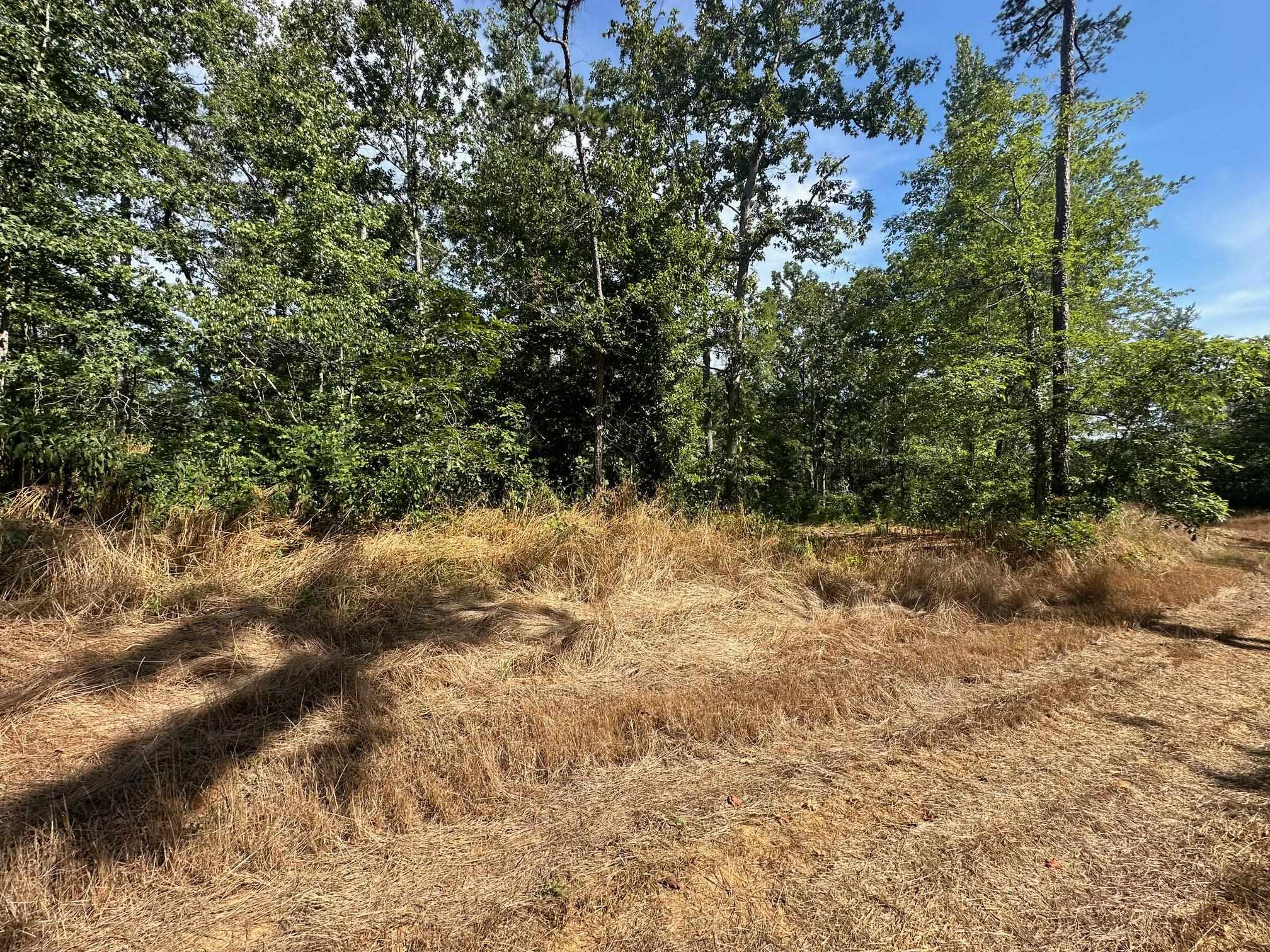 15 Bruton Road Savannah, TN 38372 - Photo 15 of 16 View of nature