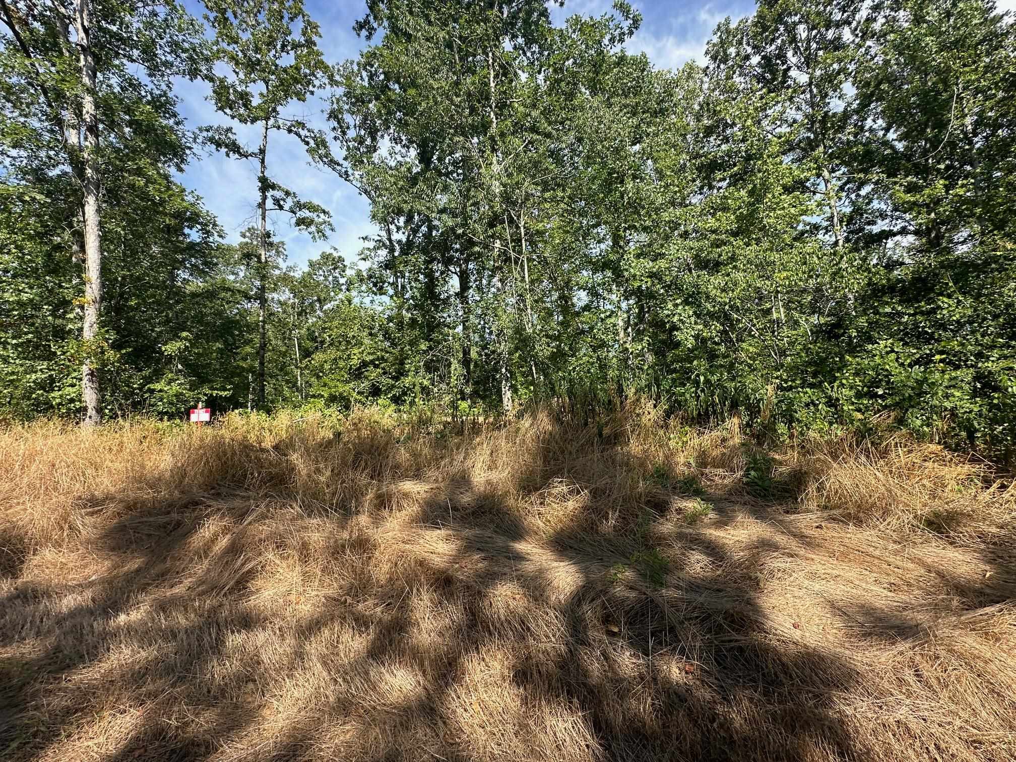 15 Bruton Road Savannah, TN 38372 - Photo 16 of 16 View of nature