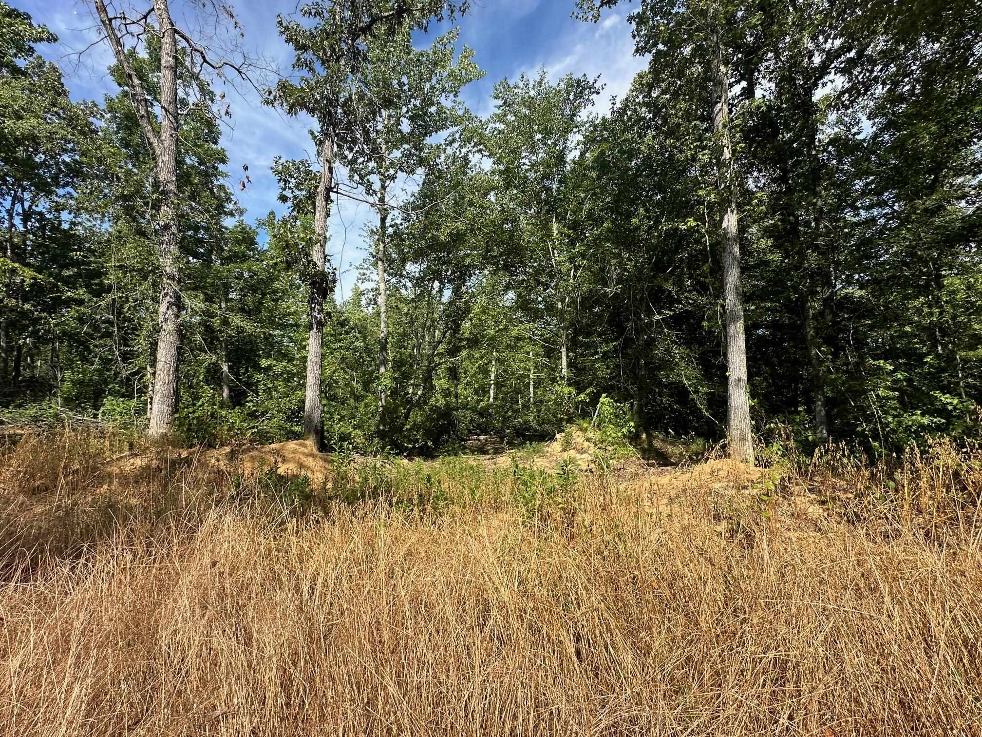 View of nature