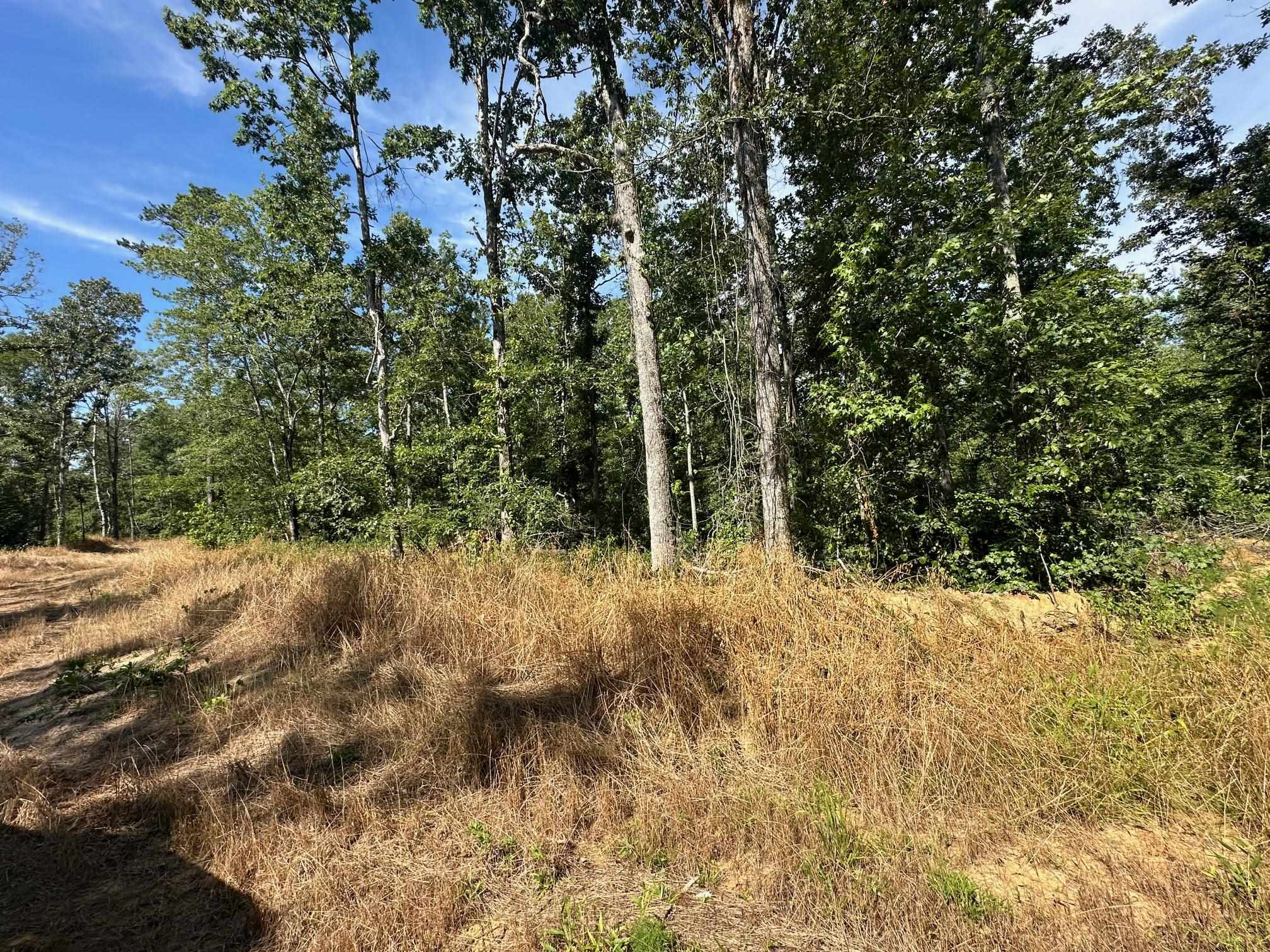 15 Bruton Road Savannah, TN 38372 - Photo 10 of 16 View of nature