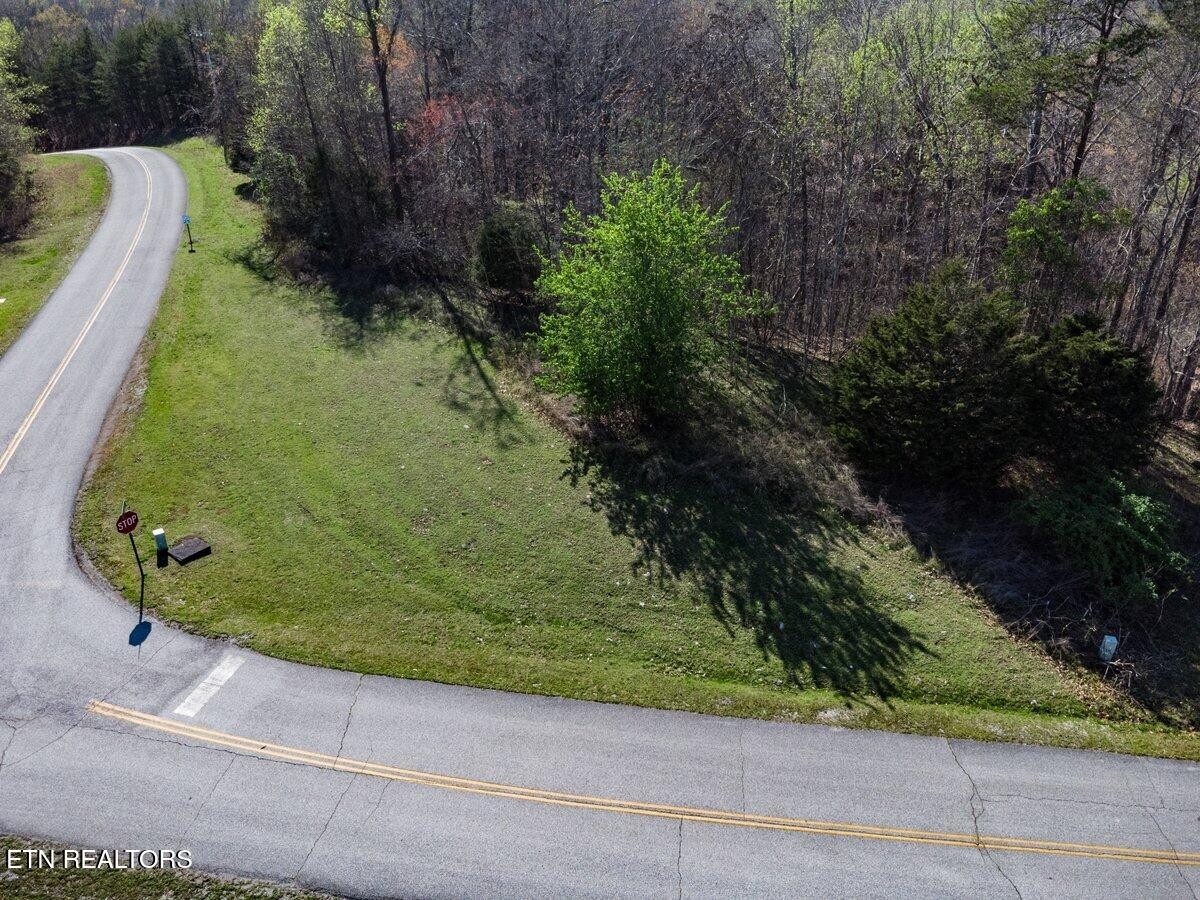 0 Crystal Springs Road Rockwood, TN 37854 - Photo 12 of 19 a view of a backyard