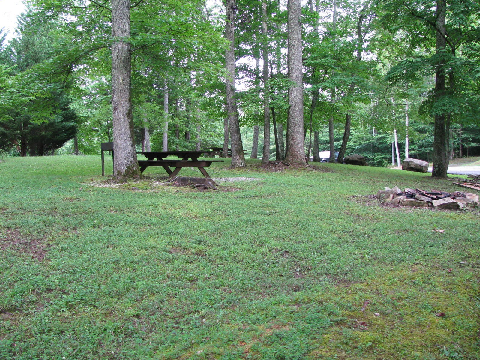 0 Crystal Springs Road Rockwood, TN 37854 - Photo 17 of 19 a view of a backyard with large trees
