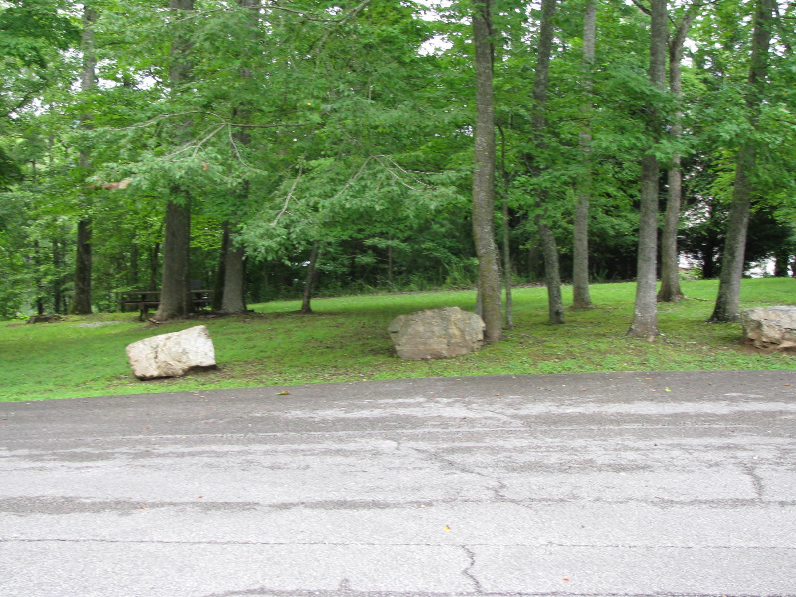 0 Crystal Springs Road Rockwood, TN 37854 - Photo 18 of 19 a view of a park