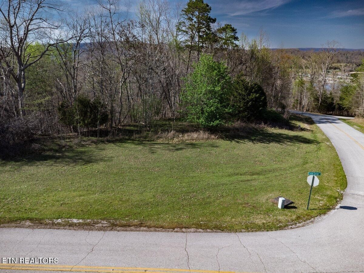 0 Crystal Springs Road Rockwood, TN 37854 - Photo 5 of 19 a view of a park